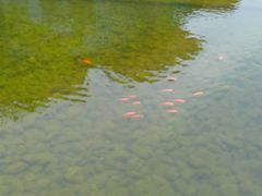 -白塘生态植物园