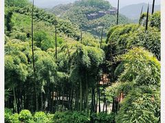 -莫干山风景区