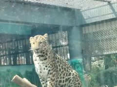 -昆明动物园
