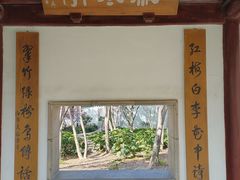 -秋霞圃