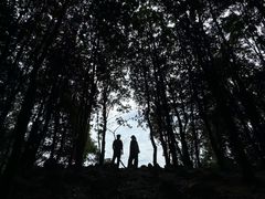 -火炉山森林公园