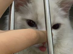 -北京恒爱动物医院(清景园分院)