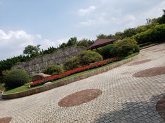 -嘉定紫藤园