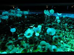 -千岛湖-欢乐水世界