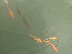 -云南民族大观园