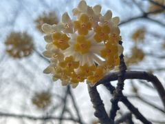 -合肥滨湖国家森林公园