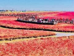 -红海滩国家风景廊道