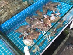 -江杨农产品批发市场