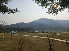 -风云岭森林公园