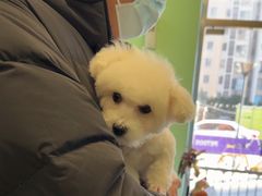 -沐沐家宠物(成寿寺店)