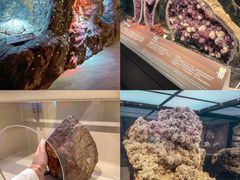 -正佳自然科学博物馆
