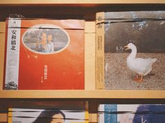 -独音唱片 Indie Music