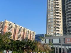 -黄连大头华烧鹅(萧地大马路店)