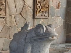 -天目湖涵田半山温泉