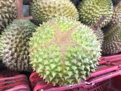 -Ah Hung D24 Sultan Durian