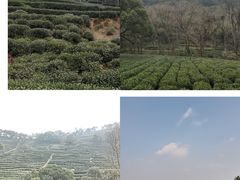 -十里琅珰
