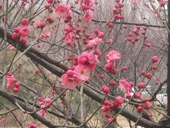 -山东大学(趵突泉校区)