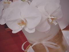 -Biteology Artisan Cakes(红庄·国际文化保税创新园店)