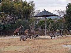 -宁波野生动物园