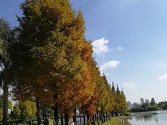 -湖泉半山温泉