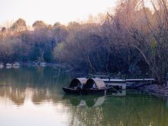 -上海吴淞炮台湾国家湿地公园