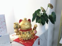 -元一肌肤管理中心