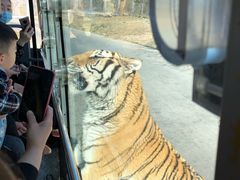 -西安秦岭野生动物园