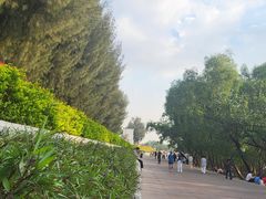 -宝安西湾红树林湿地公园