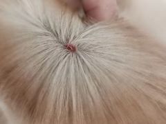 -立德动物医院·24小时中心(番禺区院区)