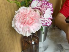 -O'eat Blossom&Pelican(深圳首店)