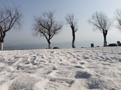 -西昌邛海湿地
