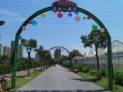 -菊园百果园
