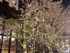 -杭州城中香格里拉大酒店