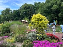 -上海共青森林公园