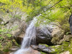 -王顺山国家森林公园