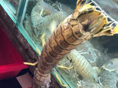 -班赞海鲜市场