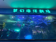 -聊城海底世界