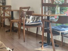 -有猫主题·治愈系猫咖(曾厝垵店)