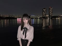 -台场海滨公园船码头