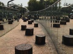 -武清南湖绿博园