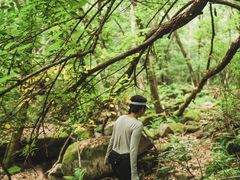 -北京密云天门山风景区