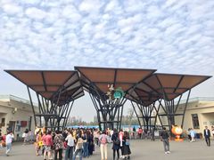 -上海长兴岛郊野公园