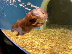 -成都浩海立方海洋公园