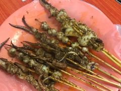 -十里铺铁板鱿鱼