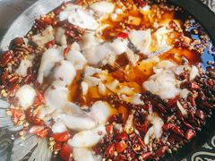 -金三可市井水煮鱼(金碧园店)