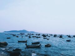 -海源公园