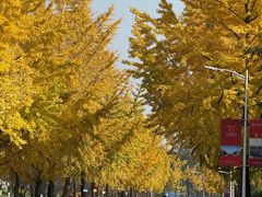 -成都中医药大学(温江校区)