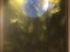 -一笼小幸运
