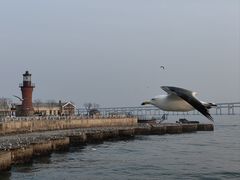 -星海广场