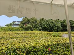 -苏州阳澄半岛英迪格酒店